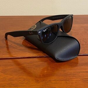 Ray-Ban New Wayfarer Matte Black Polarized
